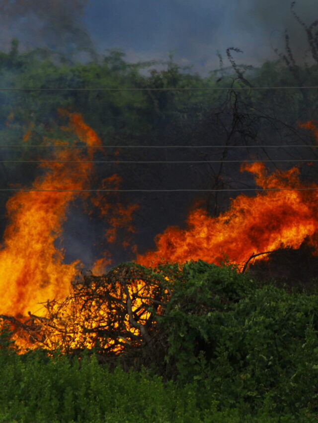 Alberta wildfires are fought by rain and smoke, while a new BC fire forces evacuation.