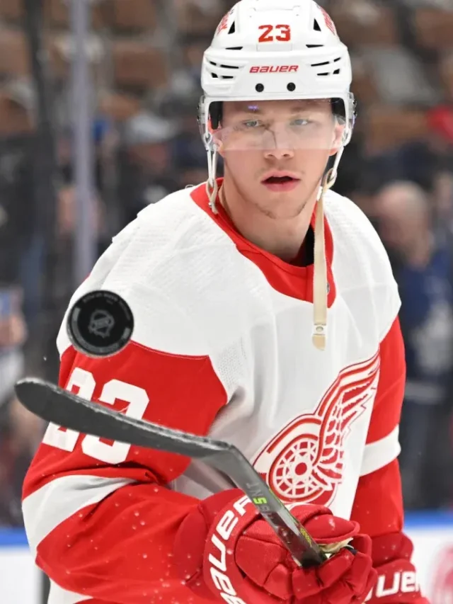 Red Wings Raymond, Berggren Talk Veleno Incident, Suspension