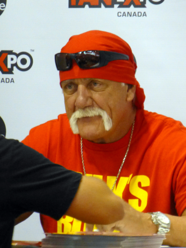 HULK HOGAN: ROMAN REIGNS SAVED WRESTLING.