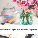 Which Zodiac Signs Are the Most Organized?
