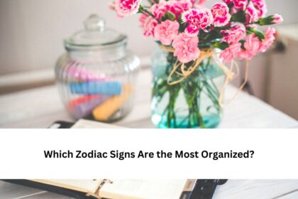 Which Zodiac Signs Are the Most Organized?