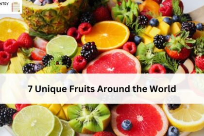 7 Unique Fruits Around the World