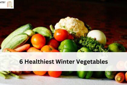 6 Healthiest Winter Vegetables