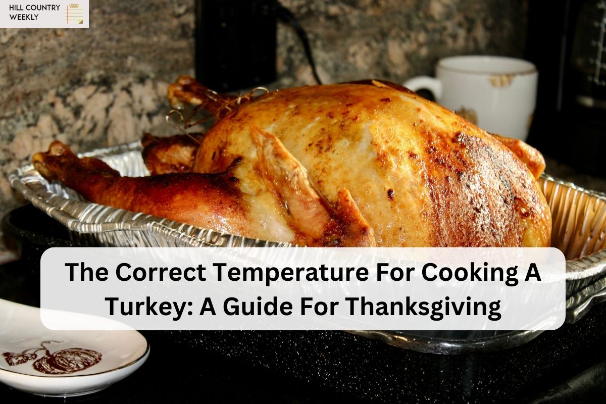 The Correct Temperature For Cooking A Turkey A Guide For Thanksgiving