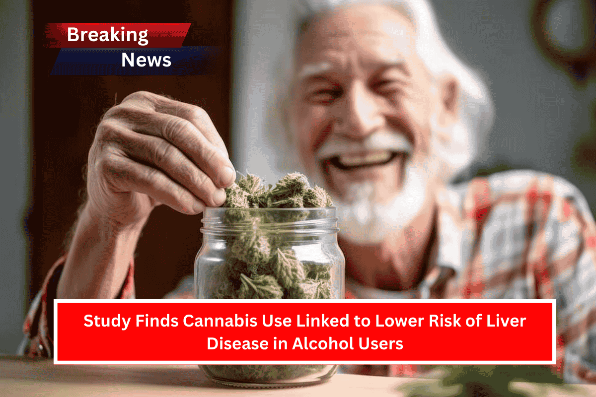 Study Finds Cannabis Use Linked to Lower Risk of Liver Disease in Alcohol Users