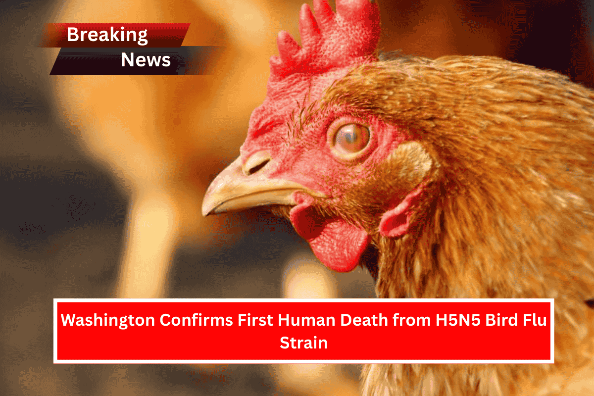 Washington Confirms First Human Death from H5N5 Bird Flu Strain